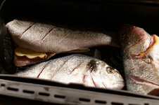 DSC00016 - 26. Januar 2026.jpg