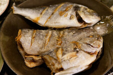 DSC00029 - 26. Januar 2026.jpg