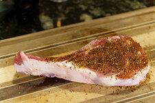 DSC00032 - 27. Januar 2026.jpg