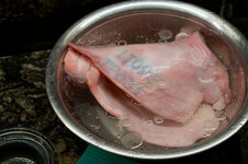 DSC00077 - 31. Januar 2026.jpg