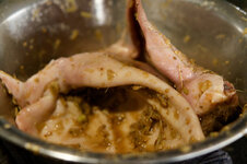 DSC00085 - 31. Januar 2026.jpg