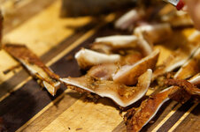 DSC00090 - 31. Januar 2026.jpg