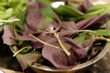 DSC00099 - 2. Februar 2026.jpg