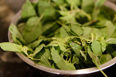 DSC00100 - 2. Februar 2026.jpg