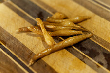 DSC00102 - 2. Februar 2026.jpg