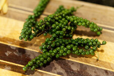 DSC00103 - 2. Februar 2026.jpg