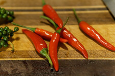 DSC00104 - 2. Februar 2026.jpg