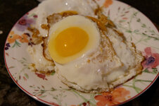 DSC00106 - 2. Februar 2026.jpg