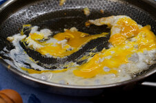 DSC00107 - 2. Februar 2026.jpg