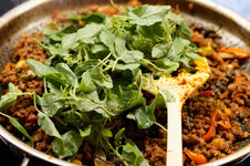 DSC00121 - 2. Februar 2026.jpg