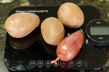 DSC00157 - 4. Februar 2026.jpg