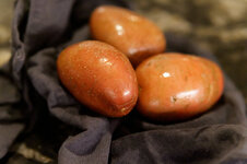 DSC00158 - 4. Februar 2026.jpg