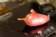 DSC00159 - 4. Februar 2026.jpg