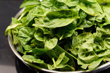 DSC00164 - 4. Februar 2026.jpg