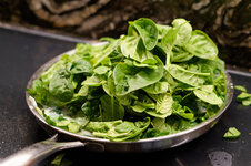 DSC00165 - 4. Februar 2026.jpg