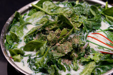 DSC00166 - 4. Februar 2026.jpg