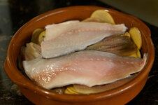 DSC00167 - 4. Februar 2026.jpg