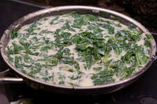 DSC00168 - 4. Februar 2026.jpg