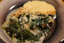 DSC00172 - 4. Februar 2026.jpg