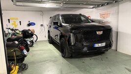 IMG_2593.jpeg