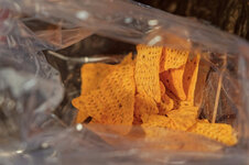 DSC00210 - 9. Februar 2026.jpg