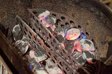 DSC00216 - 9. Februar 2026.jpg