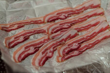 DSC00222 - 9. Februar 2026.jpg