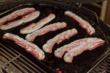 DSC00223 - 9. Februar 2026.jpg