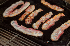 DSC00224 - 9. Februar 2026.jpg