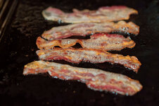 DSC00225 - 9. Februar 2026.jpg