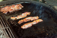 DSC00227 - 9. Februar 2026.jpg