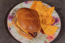 DSC00231 - 9. Februar 2026.jpg