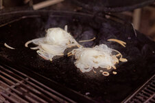 DSC00232 - 9. Februar 2026.jpg