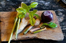 DSC00242 - 12. Februar 2026.jpg