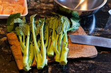 DSC00248 - 12. Februar 2026.jpg