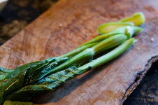 DSC00250 - 12. Februar 2026.jpg