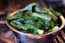 DSC00251 - 12. Februar 2026.jpg