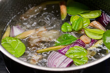 DSC00256 - 12. Februar 2026.jpg