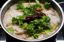 DSC00263 - 12. Februar 2026.jpg