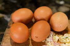 DSC00267 - 12. Februar 2026.jpg