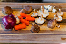 DSC00603 - 25. März 2026.jpg