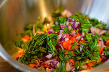 DSC00607 - 25. März 2026.jpg