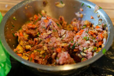 DSC00608 - 25. März 2026.jpg