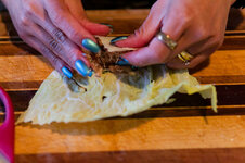 DSC00614 - 25. März 2026.jpg