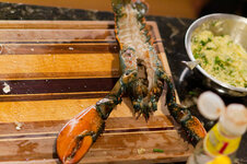 DSC00618 - 25. März 2026.jpg