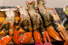 DSC00619 - 25. März 2026.jpg