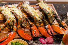 DSC00620 - 25. März 2026.jpg