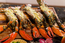 DSC00621 - 25. März 2026.jpg