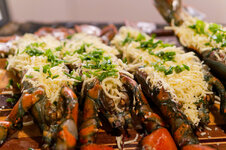 DSC00623 - 25. März 2026.jpg