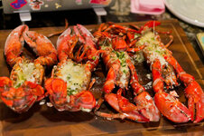 DSC00626 - 25. März 2026.jpg